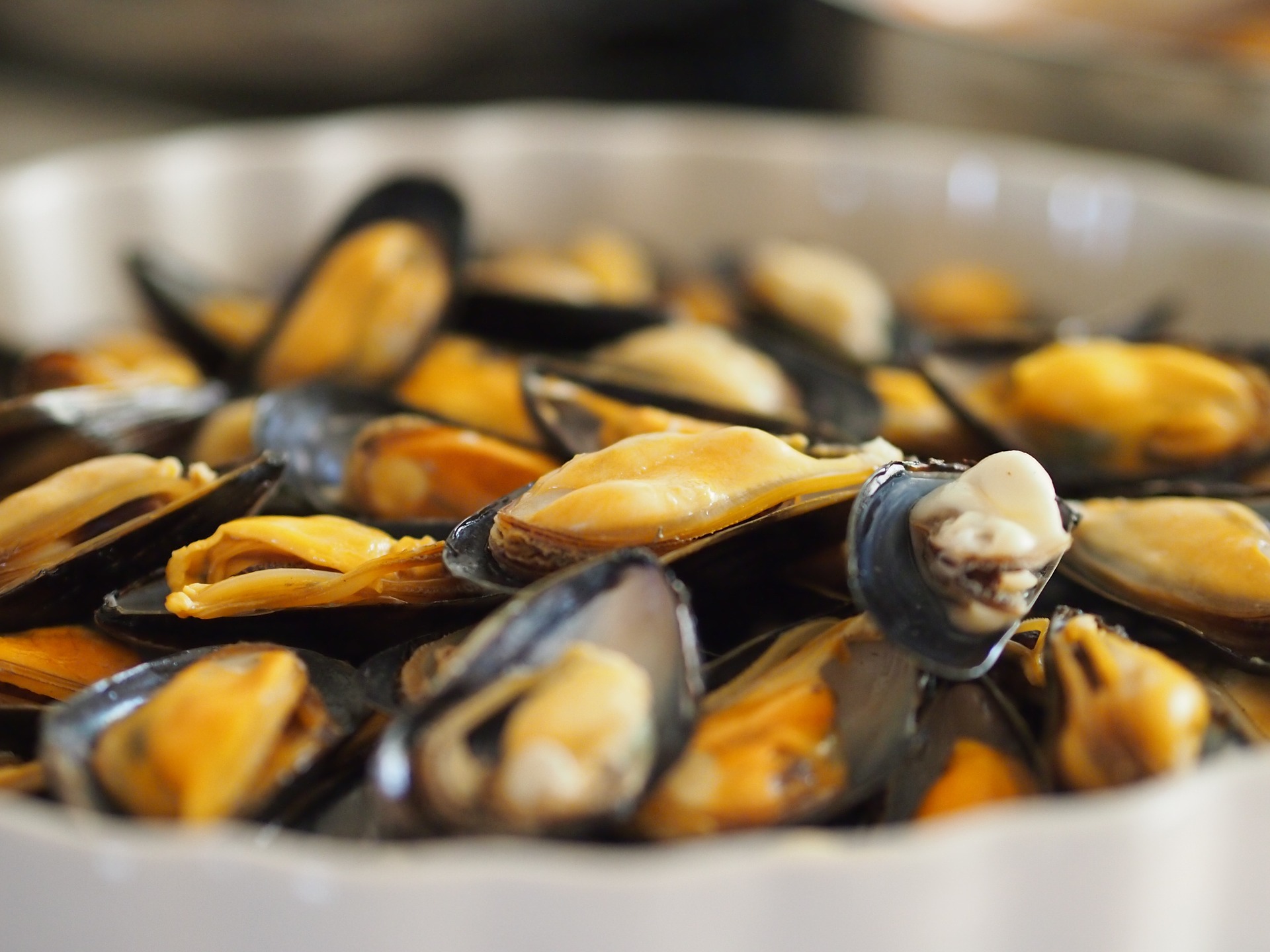 The New England Moorings signature dishes Crab Stuffed Smoked Oysters, New England Clam Chowdah, Key West Mahi Mahi.